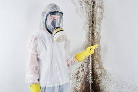 Why You Should Choose Our Mold Remediation Services in Collinwood, TN